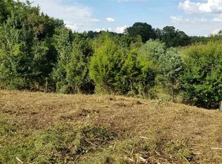 3306 Blue Springs Rd, Strawberry Plains, TN 37871