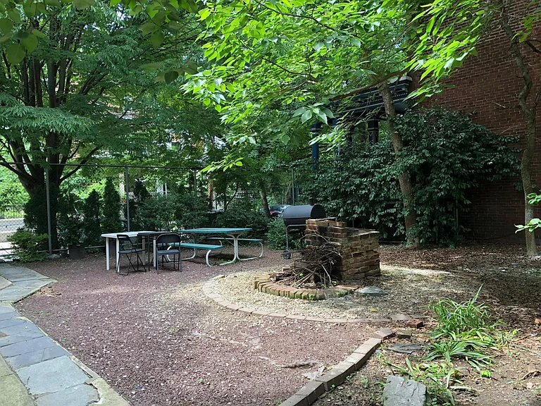 large shared backyard