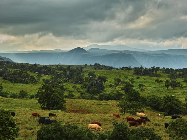 47-5343 W Waikoekoe Ln #3-lot B-1, Honokaa, HI 96727