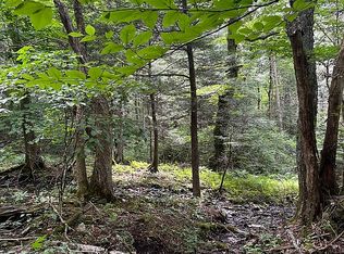 1115 Replogle Dr, Boone, NC 28607