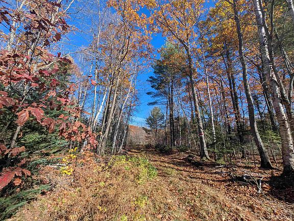 2nd image of Youngs Rd