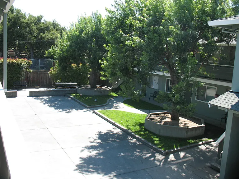 front yard
