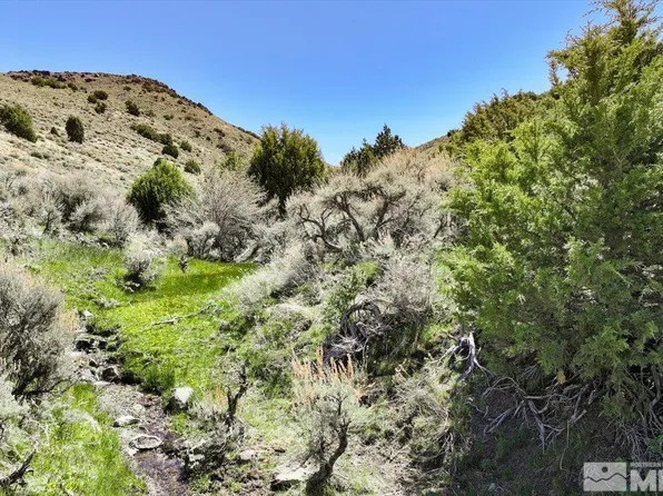 0 Pah Rah Springs Rd, Reno, NV 89510