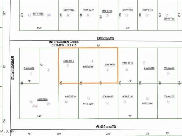 LOT 3,4,&5 PANAMA Street, Interlachen, FL 32148