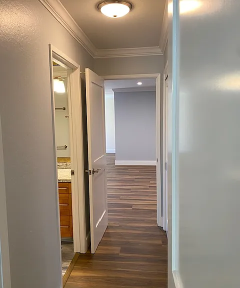 305 Easy St #5 — Photo 16