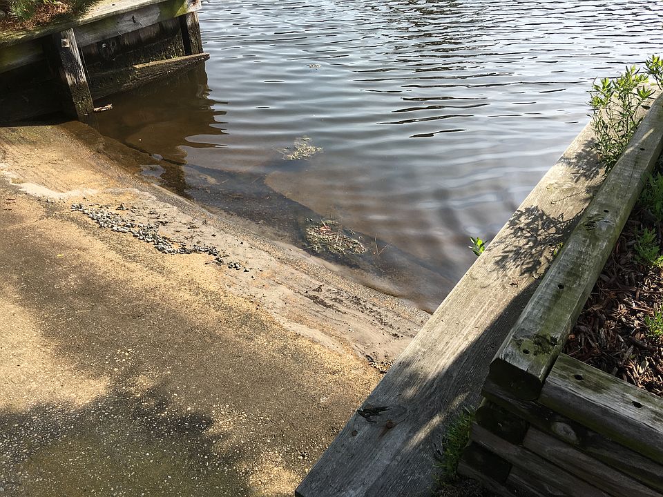 2nd image of 233 Carlisle Rd
