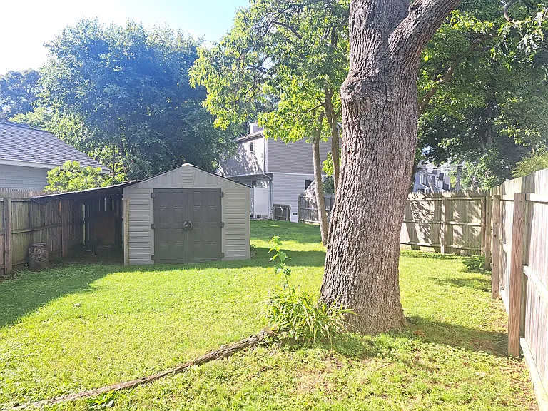 View of house and shed from the rear corner of back yard