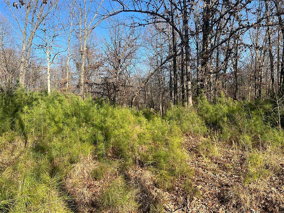 2nd image of 2 Hill Rd