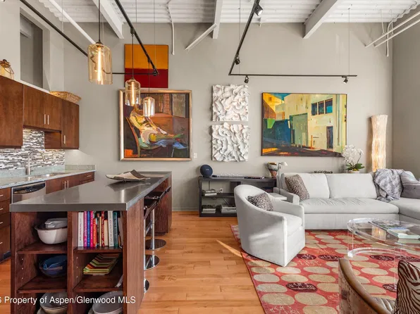 361 Robinson St Unit 332, El Jebel, CO 81621