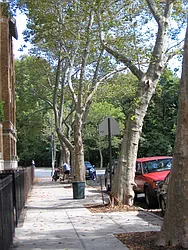 215 Terrace Place