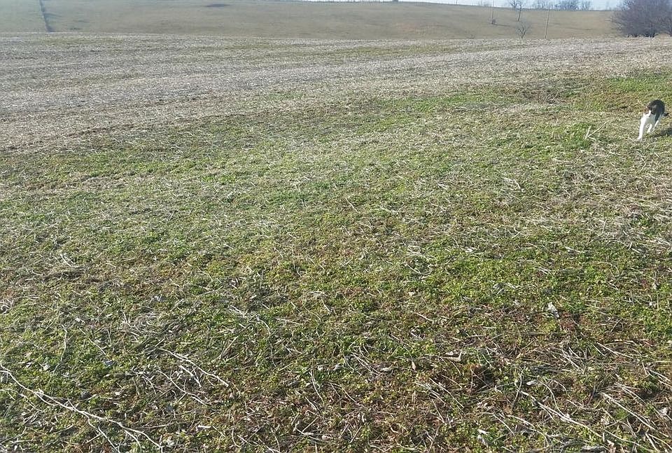 2nd image of 1656 Ky Hwy 1743 Carl Stevens
