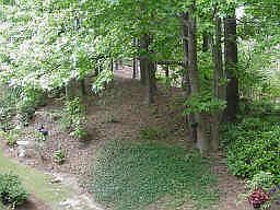 Springtime view-lots of trees add great privacy.