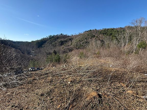 4th image of 4741 Big Creek Rd