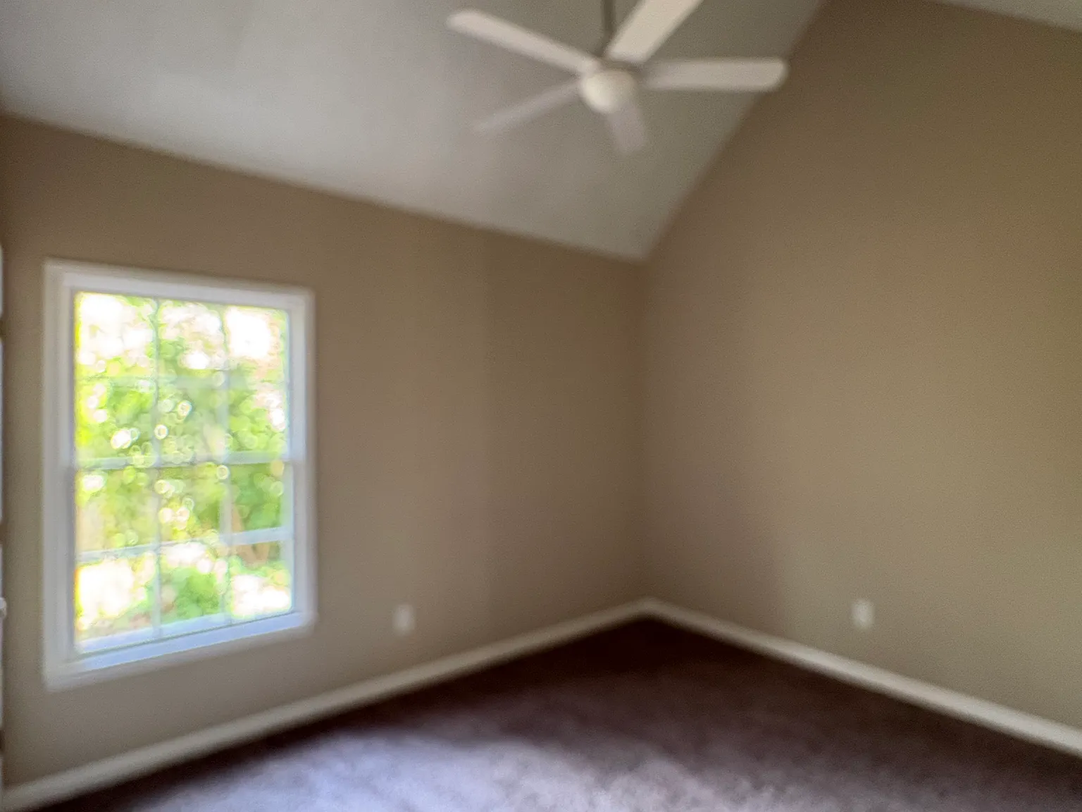 Poplar Ridge Dr, Rex — Photo 4