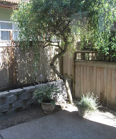3241 Wild Rose Loop — Photo 18