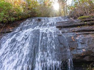 284 Grannies House Rd, Zirconia, NC 28790