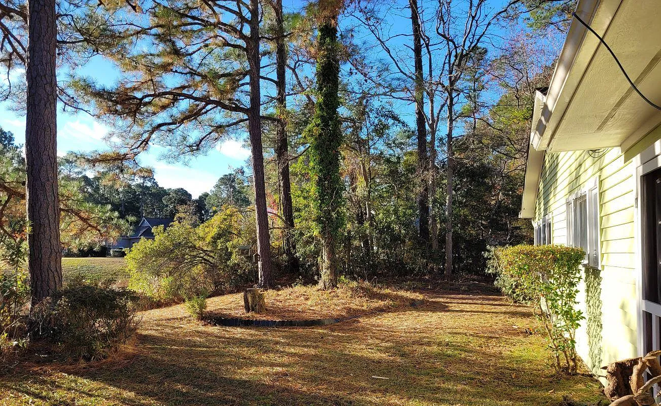3 bed, 1378 sqft, $1,950 — Photo 3