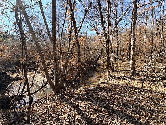 4th image of TRACT One County Rd #3150