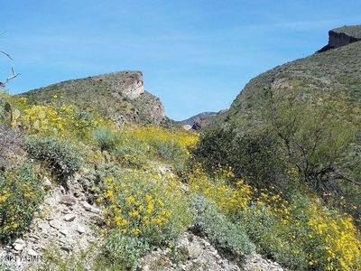 MM 156 S Highway 77 -- #1, Globe, AZ, 85501