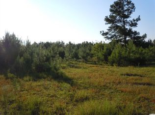1466 Wright Rd LOT 2-A, Tabor City, NC 28463