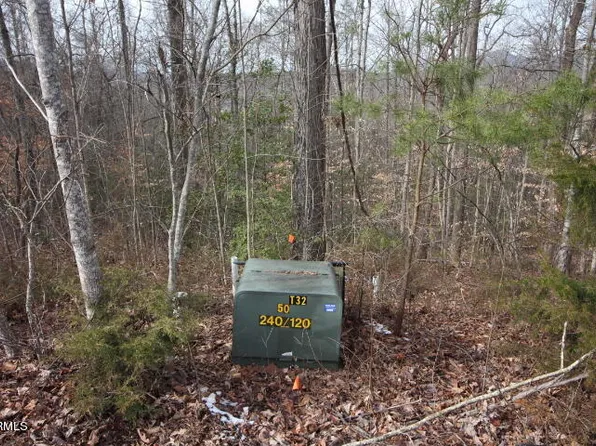 Lot32/33 Stevia Way, Cosby, TN 37722