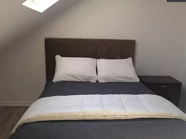 2649 North Wayne Avenue Chicago, IL 60614 — Photo 15