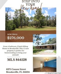 6275 Casson St, Brooksville, FL, 34604