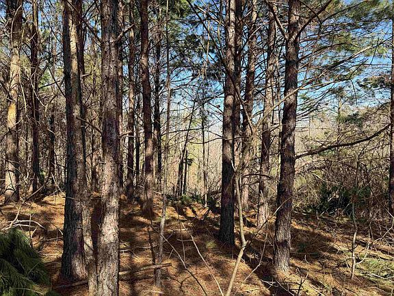 4th image of 1 Pyburn Dr