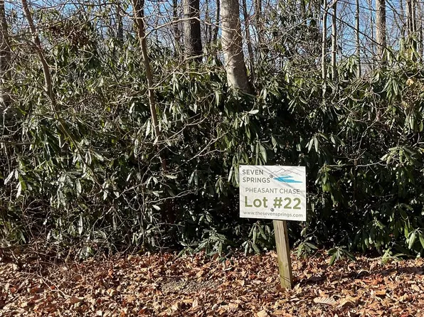 Pheasant Chase, Fancy Gap, VA 24328