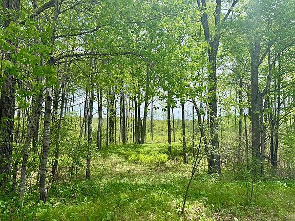 5th image of Xyz Dailey Lake Rd