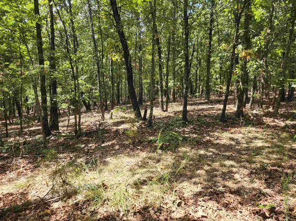 L101 103 #B3, Hardy, AR 72542