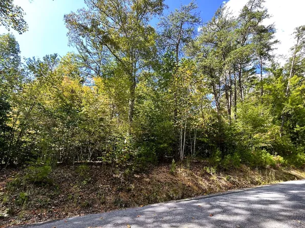 0 Lost River Trl, Hayesville, NC 28904