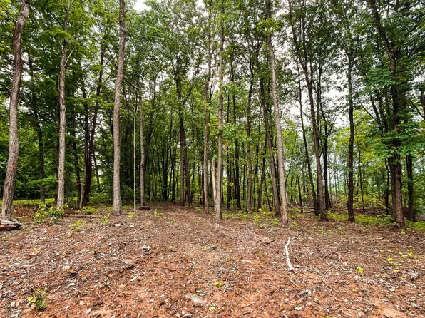 0 Landrum Rd, Bainbridge, OH 45612