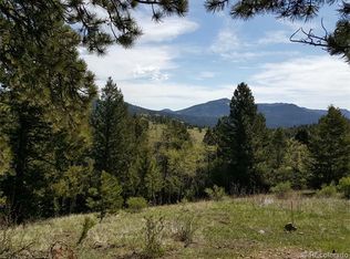 208 Missouri Flats Rd, Central City, CO 80427