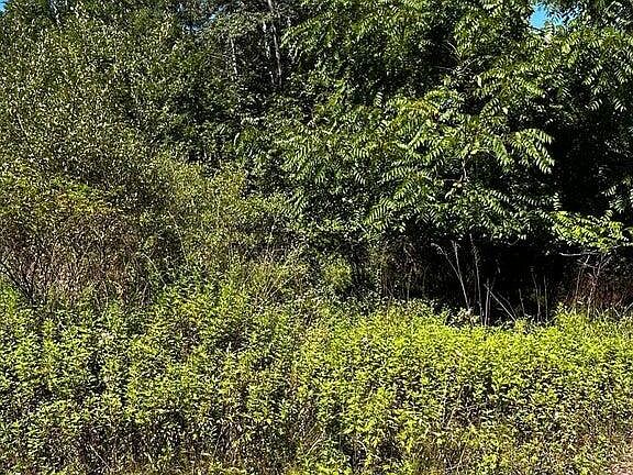 2nd image of 29 Route 187