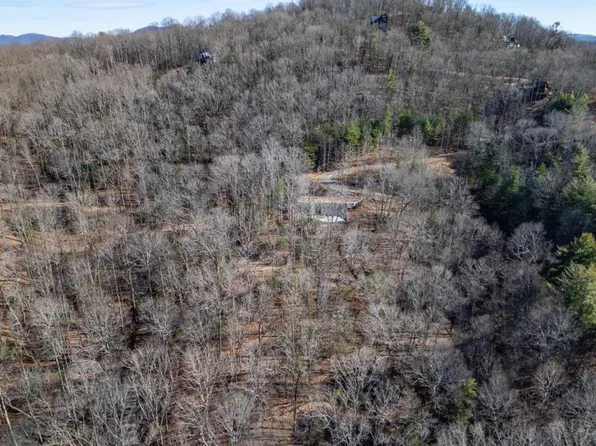168 Buckskin Dr, Cherry Log, GA 30522