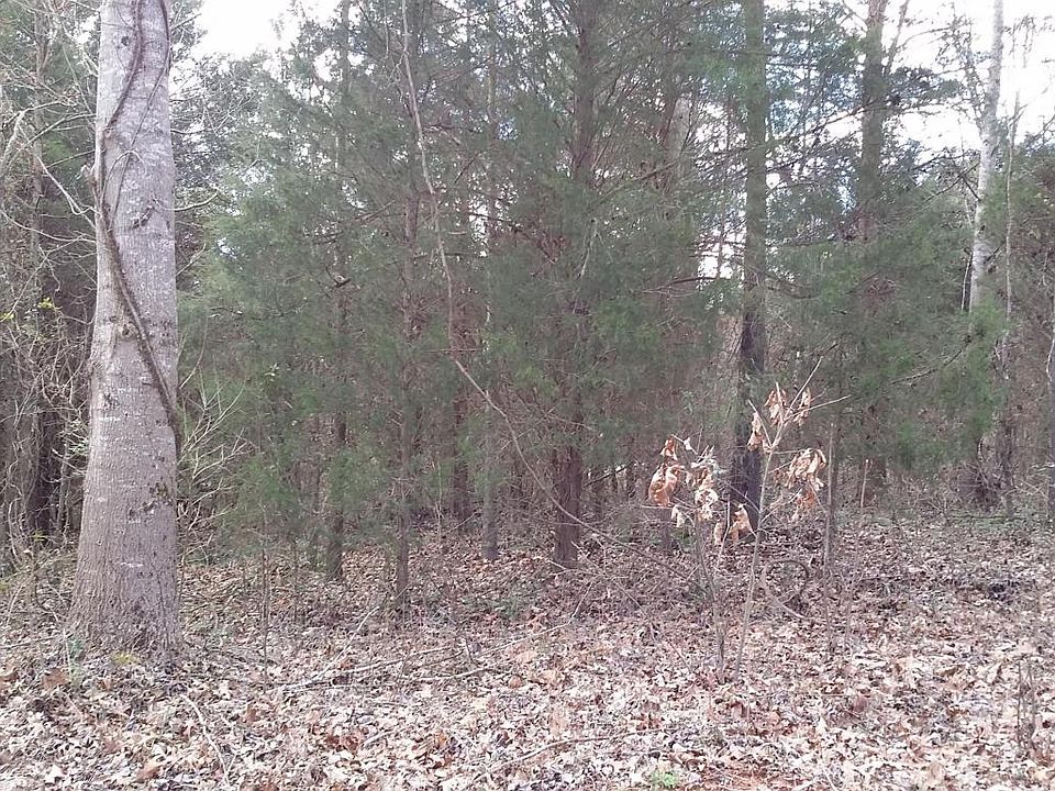 2nd image of 302 Yona Ln