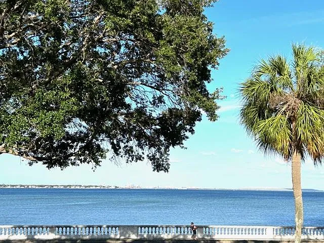 4015 Bayshore Blvd #8D — Photo 7