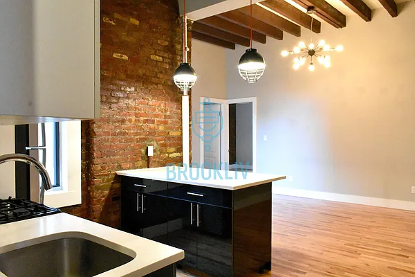 Rented by null | media 16