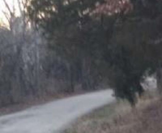 Exterior Neighborhood (street photo)