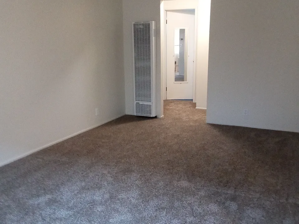 Large living room with new carpet, new hallway carpet & bathroom door with mirror