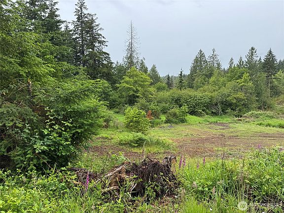 3rd image of 8143 Todderjen Lane SW