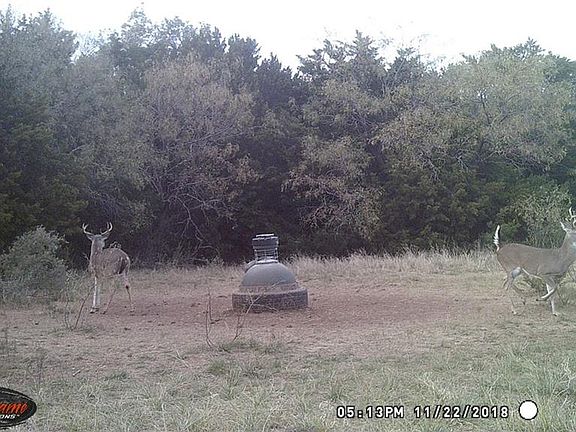 2nd image of 1527 Old Coleman Hwy