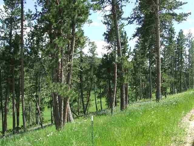 2nd image of Lot 16r Aspen Lookout