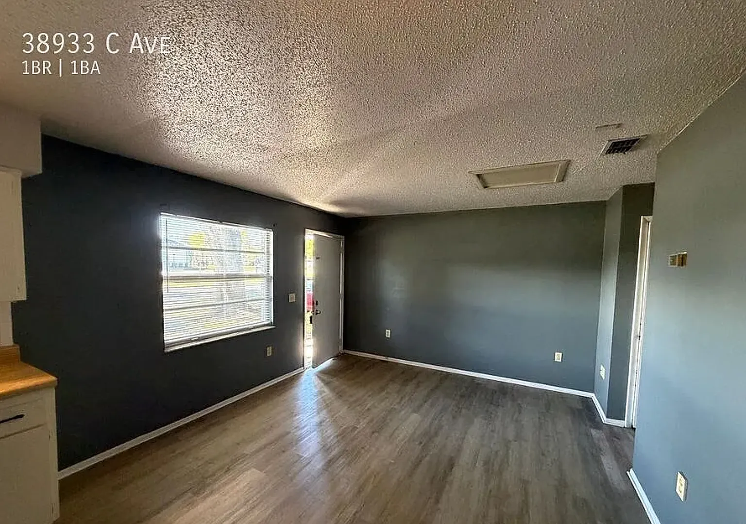Zephyrhills Duplex! — Photo 2