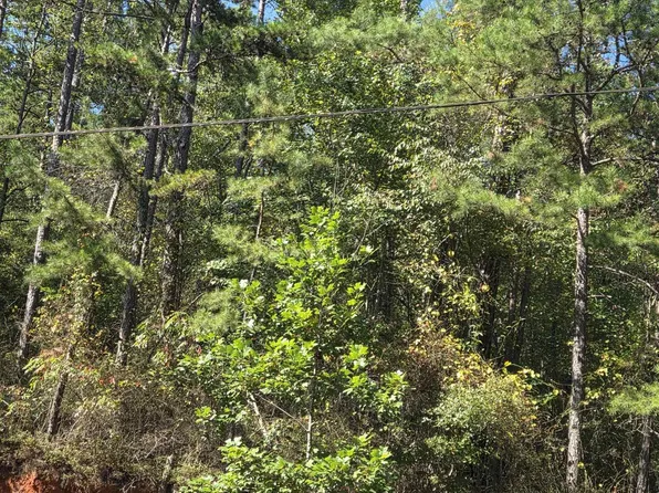 County Road 82 Tract #2, Wedowee, AL 36278