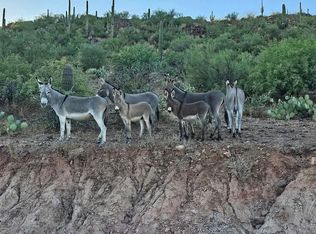 35301 S Cow Creek Rd, Morristown, AZ 85342