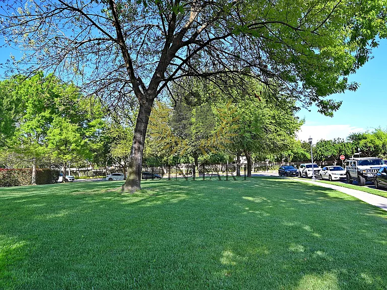 1439 E Via Albero Dr — Photo 44