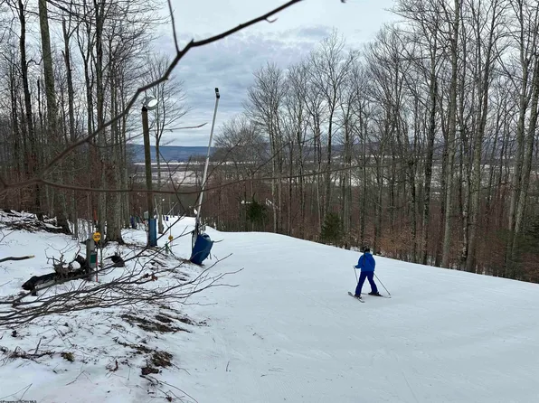 83 Hillside Rd, Davis, WV 26260