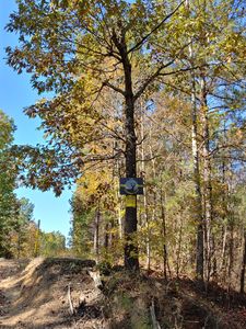 0 Lucas Rd LOT 0, Dallas, GA, 30132